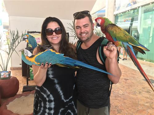 vacation 